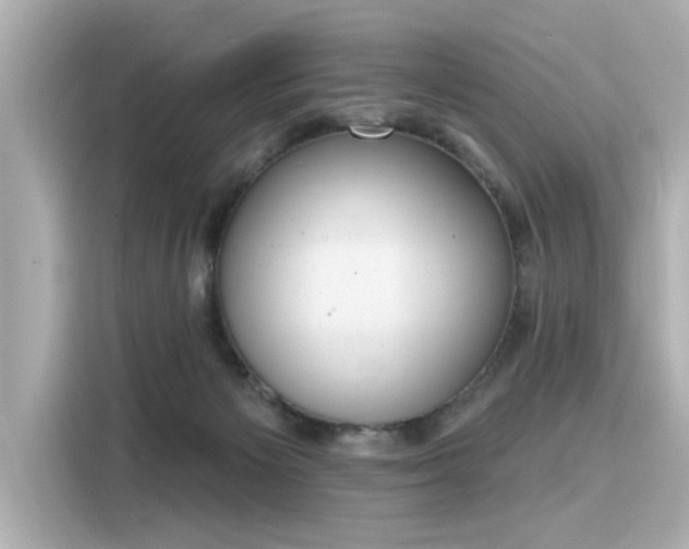 X0000116150125200911301548