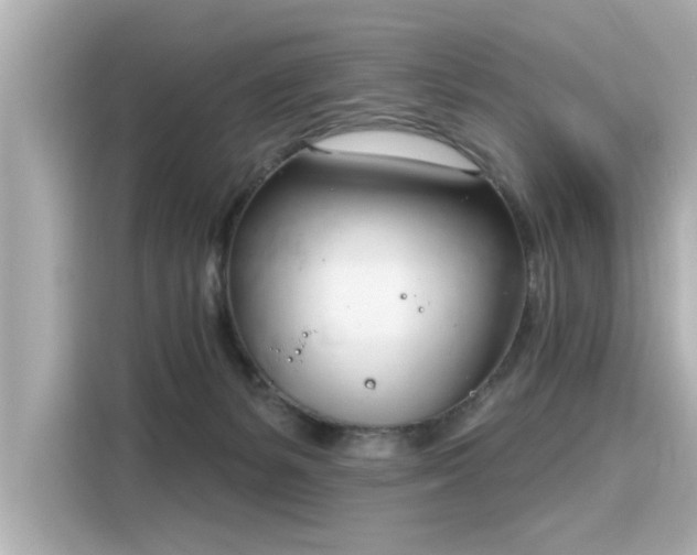 X0000116150127200911301548