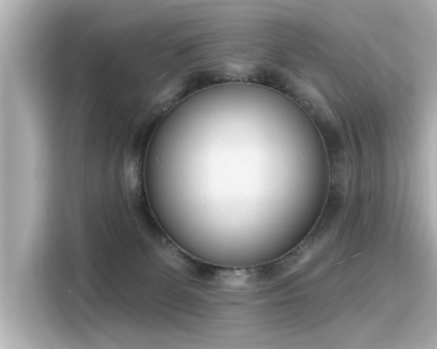 X0000116150131200911301548