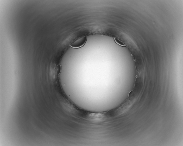 X0000116150133200911301548