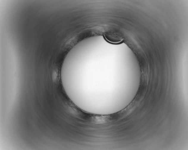 X0000116150134200911301548