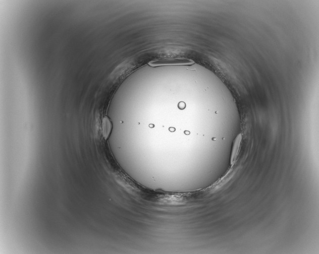 X0000116150140200911301548