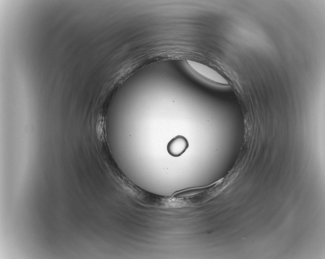 X0000116150141200911301548