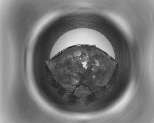 X0000116150143200911301548