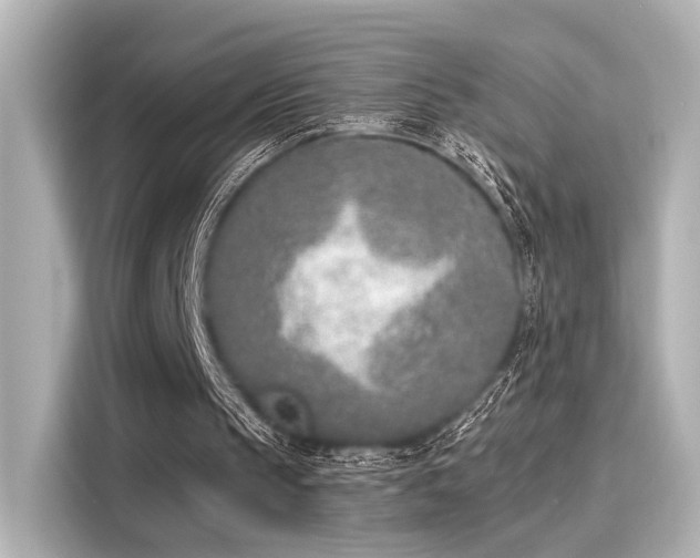 X0000116150145200911301547