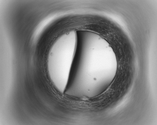 X0000116150146200911301547