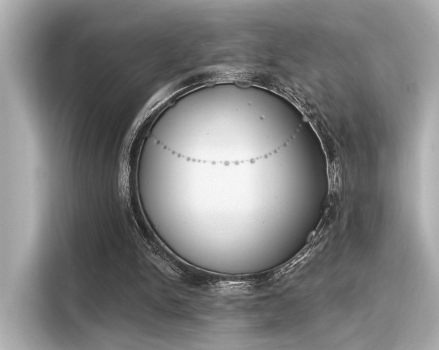 X0000116150150200911301548