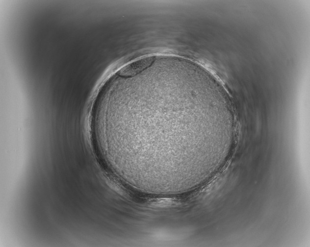 X0000116150151200911301548