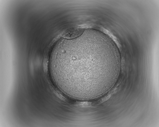 X0000116150153200911301548