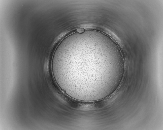 X0000116150155200911301548