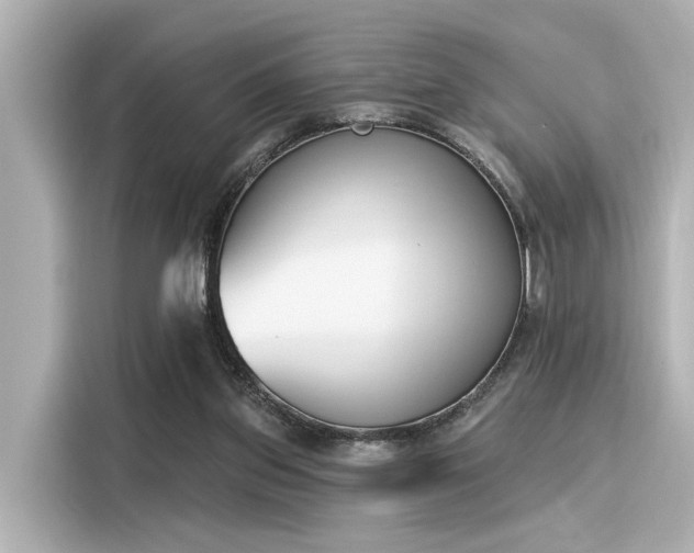 X0000116150157200911301548