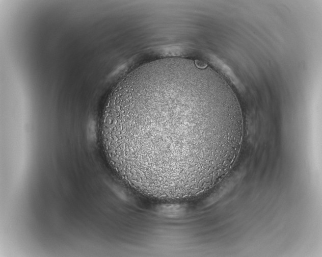 X0000116150161200911301548