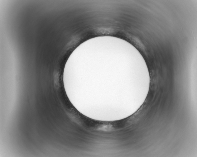 X0000116150162200911301548