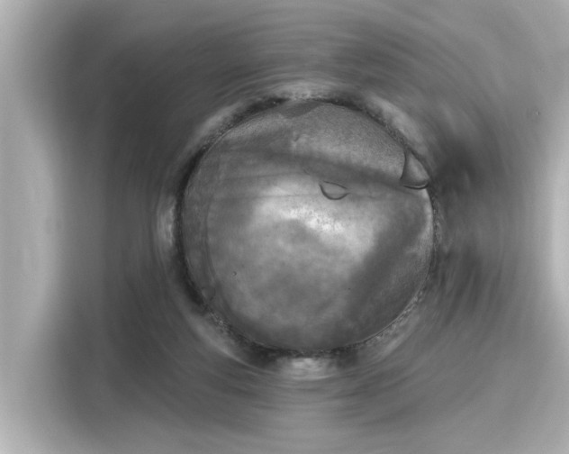 X0000116150163200911301548