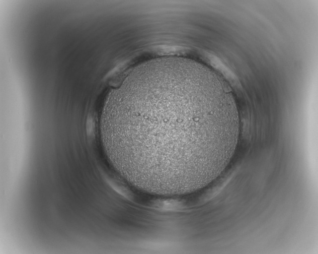 X0000116150165200911301548