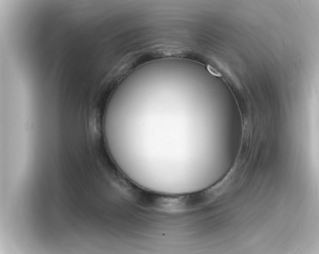 X0000116150170200911301548