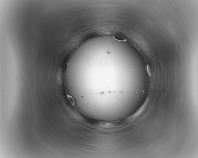 X0000116150174200911301548