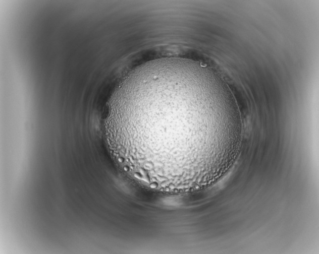 X0000116150178200911301548