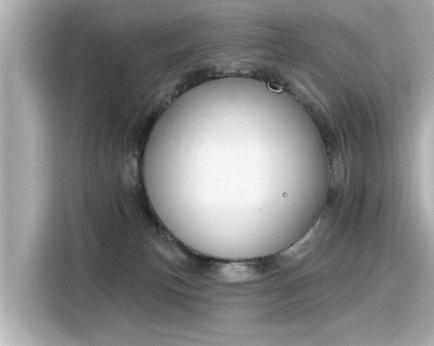 X0000116150183200911301548