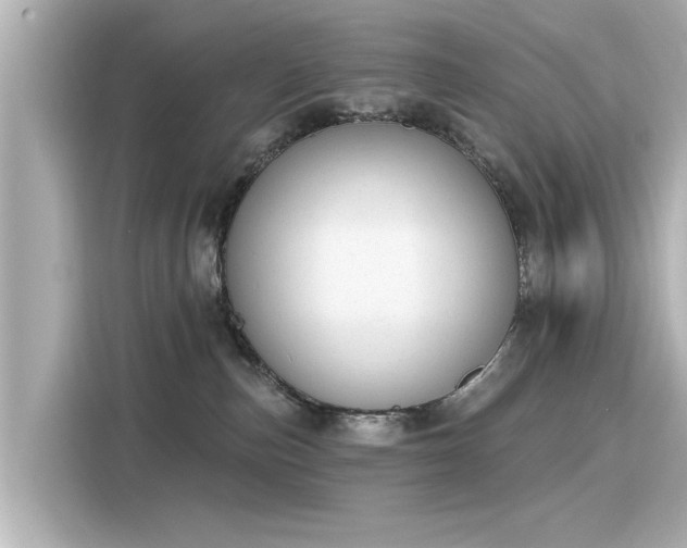 X0000116150187200911301548