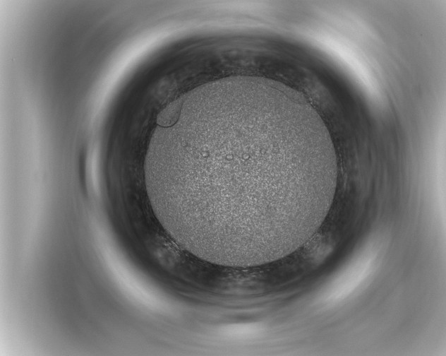 X0000116150189200911301548