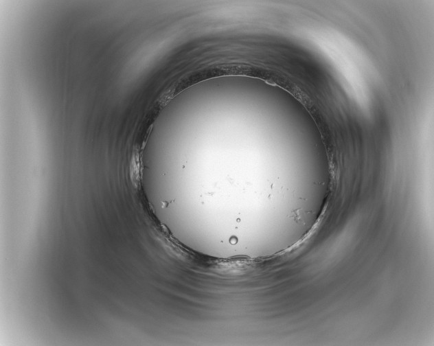 X0000116150190200911301548