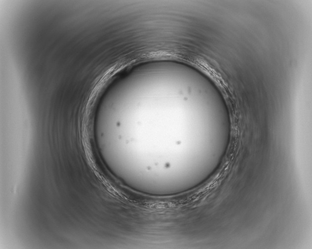 X0000116150193200911301547