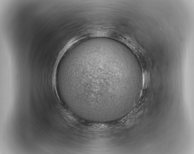 X0000116150195200911301547