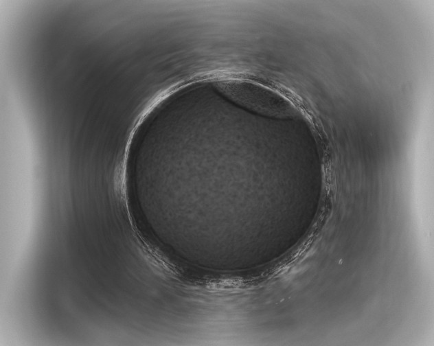 X0000116150196200911301547