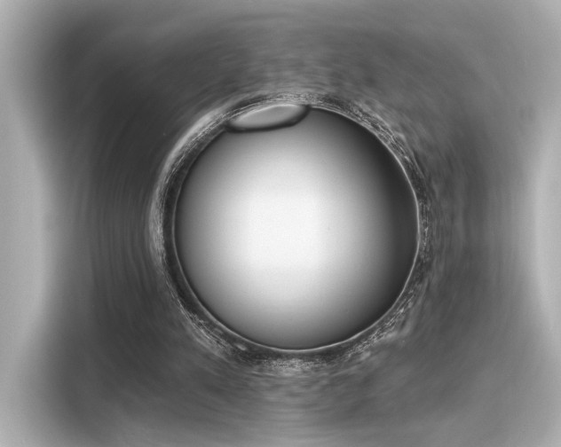 X0000116150197200911301547