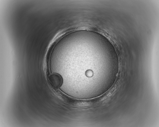 X0000116150198200911301547