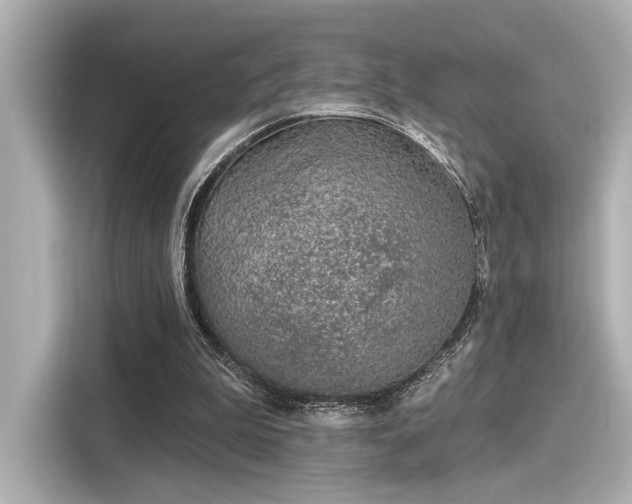 X0000116150199200911301547