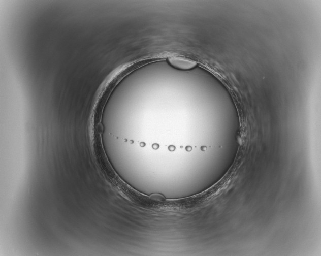 X0000116150200200911301547