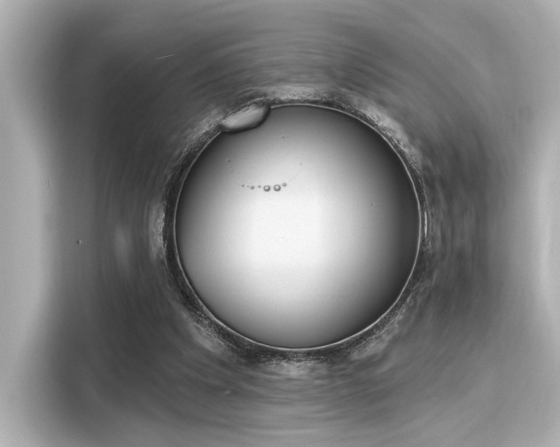 X0000116150201200911301547