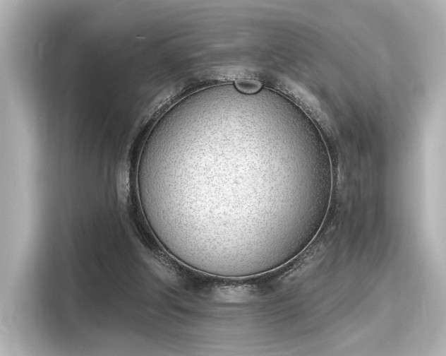 X0000116150202200911301547