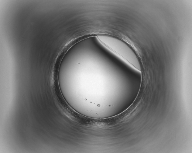 X0000116150203200911301547