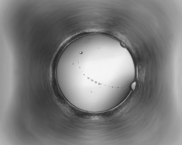 X0000116150204200911301547