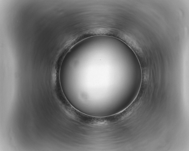 X0000116150206200911301547