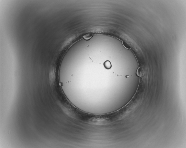 X0000116150208200911301547