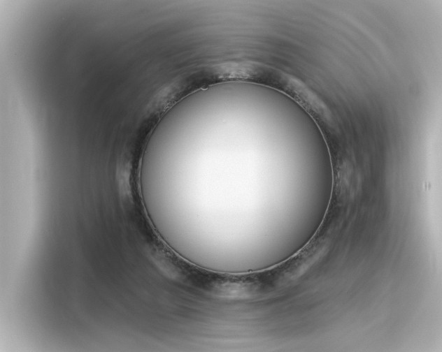 X0000116150209200911301547