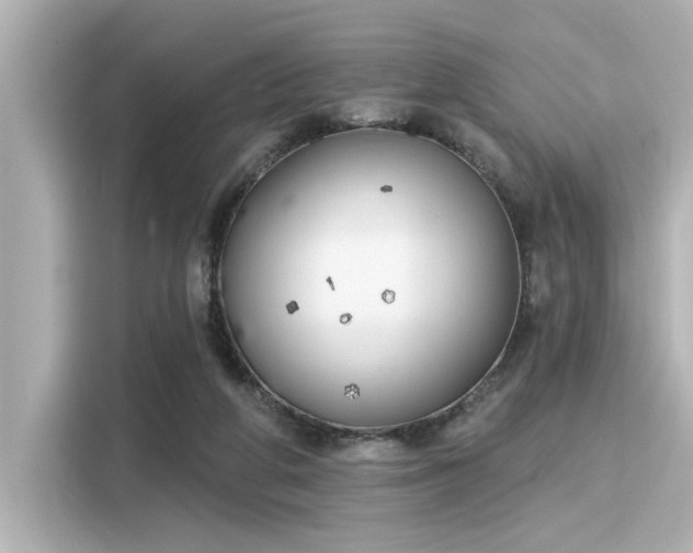 X0000116150210200911301547