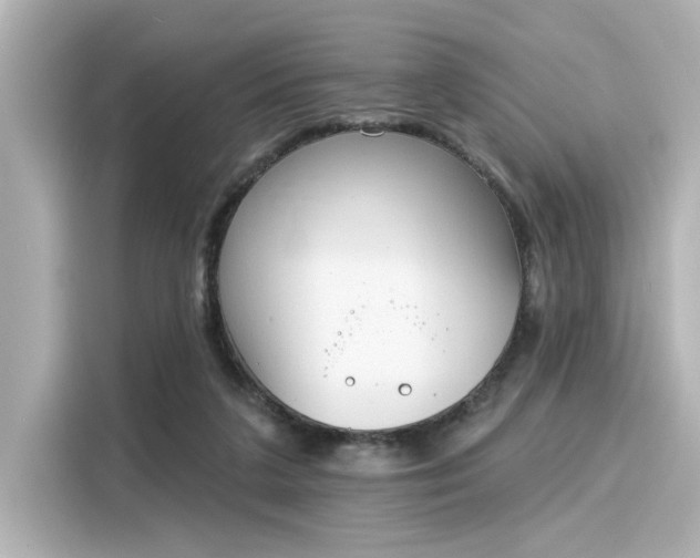 X0000116150211200911301547