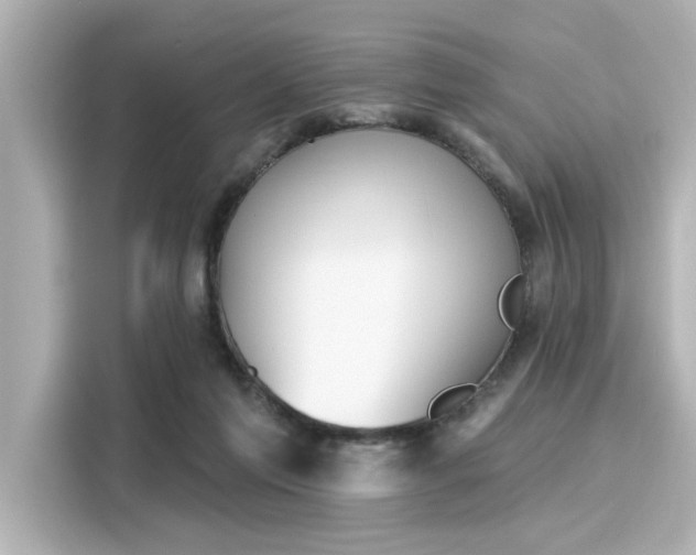 X0000116150213200911301547