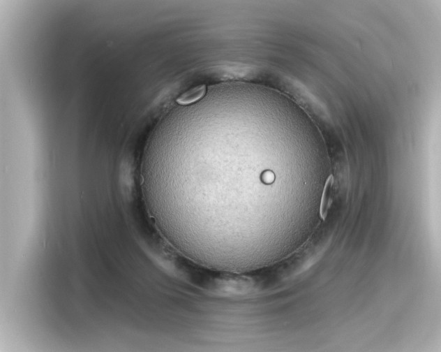 X0000116150215200911301547