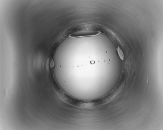 X0000116150217200911301547