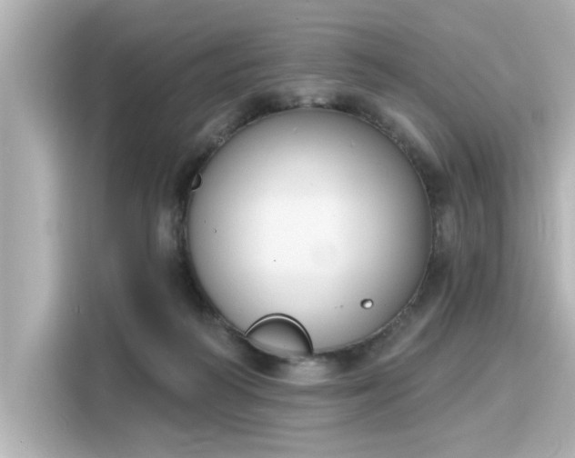 X0000116150218200911301547