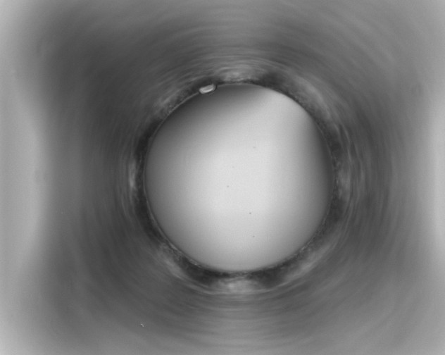 X0000116150219200911301547