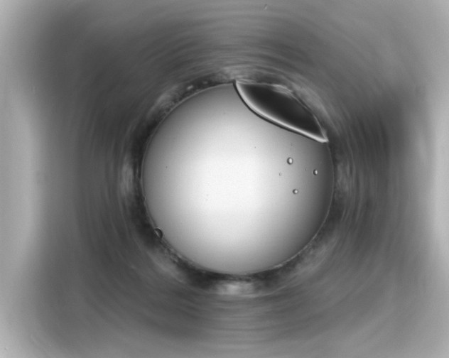 X0000116150220200911301547