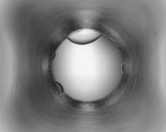 X0000116150221200911301547