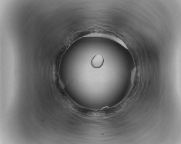 X0000116150223200911301547